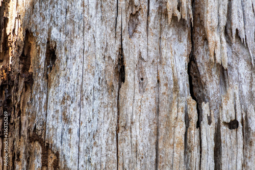 Foto Close-up of aged and decaying wood texture featuring vertical grain and natural