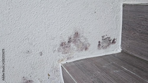 Dark mold stains spread across a textured white wall near a corner; the discoloration highlights moisture damage in a domestic interior with wood-style flooring