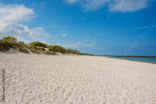 Sand dunes landscape at the sea coastline