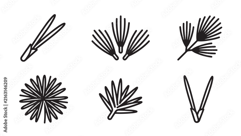 Fototapeta premium Pine needles and branch segments botanical icon set with botanical monochrome collection evergreen environment christmas decoration illustration silhouette structure