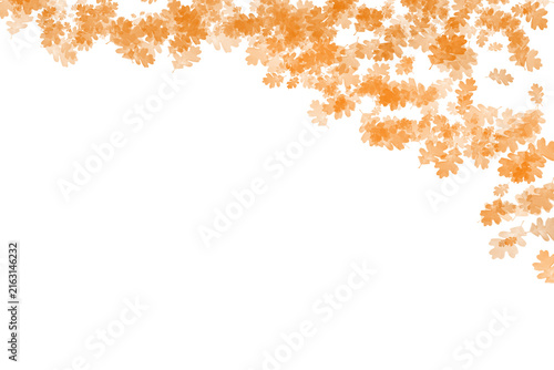  minimalist, clean, modern Autumn leaves scatter isolated on transparent background for seasonal design projects