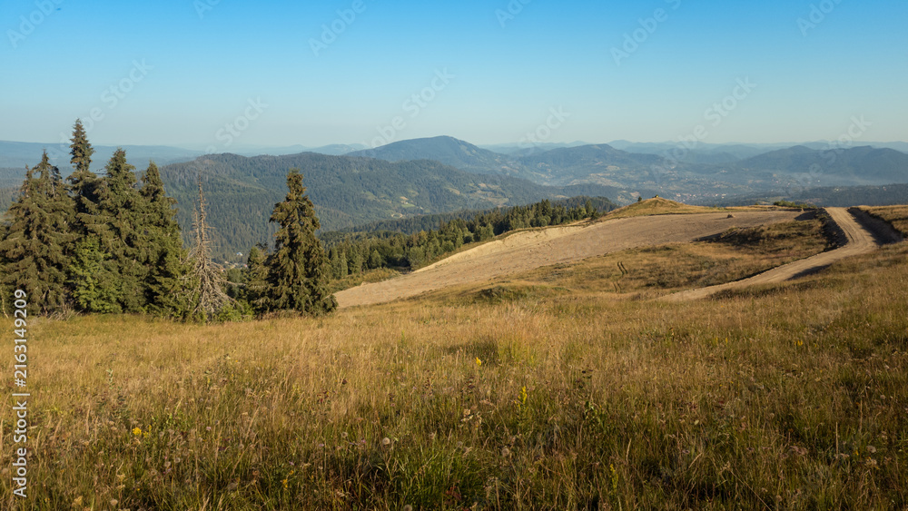 Fototapeta premium Wide horizontal landscape view featuring a grassy foreground, a cluster of evergreen pine trees on the left, and a winding dirt road cutting across a high altitude plateau overlooking distant blue mou