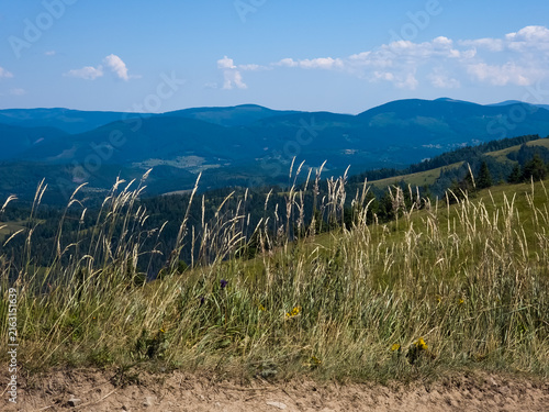 Foto Panoramic landscape photograph of wild tall grass swaying on a mountain slope in the foreground, overlooking layered blue mountain ranges and a clear blue sky