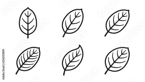 Set of various single leaf outline vector icons with botanical greenery illustration collection handdrawn minimalist environment isolated silhouette