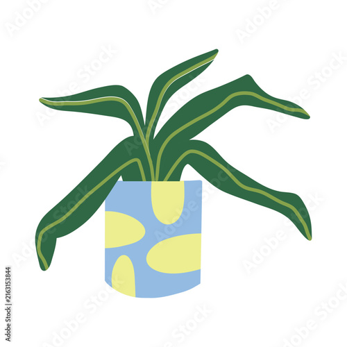 Cute hand drawn potted plant with long green leaves in patterned pot illustration
