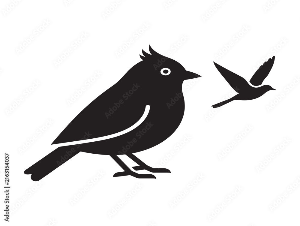 Fototapeta premium Bird silhouette icon set. Black avian vector graphics for nature and wildlife design.