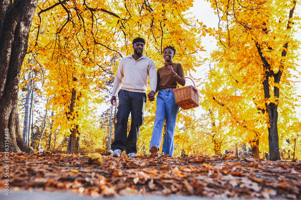 Fototapeta premium Hand in hand through the spectacular golden forest