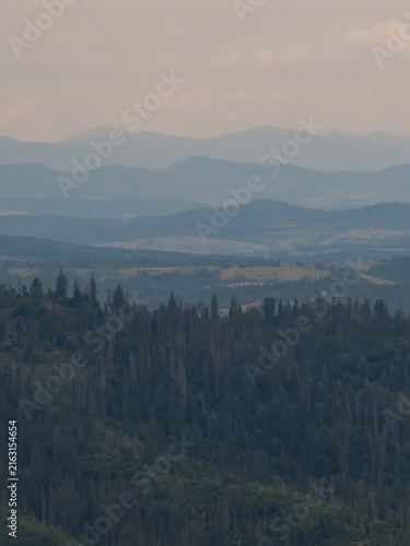 Obraz na plátně Scenic landscape photograph of misty layered mountain ridges fading into the distance behind a dense dark green evergreen pine forest foreground under an overcast sky