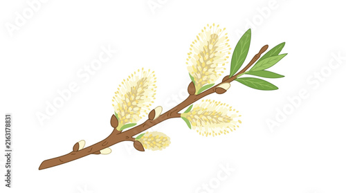 Adobe Illustrator Artwork