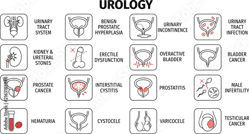 Urology, medical, icons, set, health, disease, urinary, system, conditions, disorders, treatment, clinic, kidney, bladder, anatomy