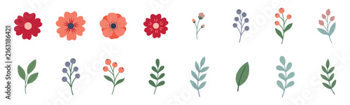 Fotografie Set of hand drawn floral elements, flowers, berries and leaves