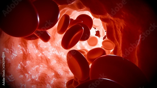 Red blood cells in an artery or blood vessel , flow inside body, medical human health-care. 3D Rendering.Blood cells in motion within an artery, showcasing scientific research, cardiovascular health