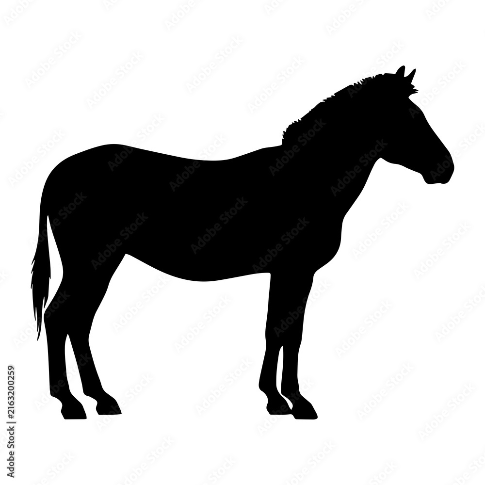 Obraz premium Black silhouette of wild horse standing sideways for nature logo and equestrian graphics.
