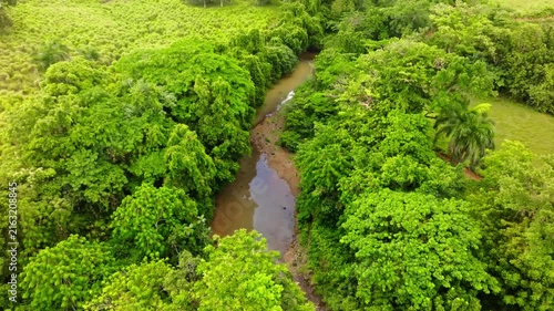 A river flowing through a lush forest landscape, reflecting sunlight. A mountain stream flows through a green American forest. A peaceful stream flows through a verdant tropical rainforest.