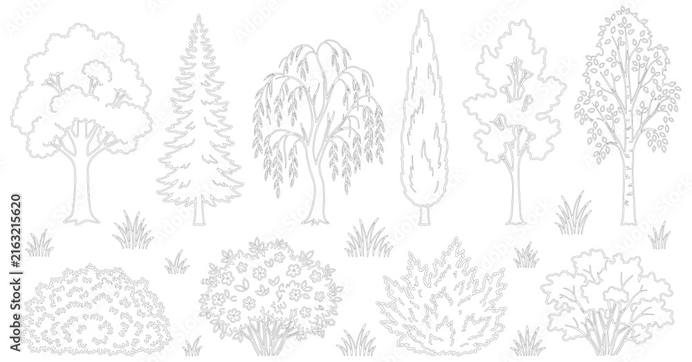 Fototapeta premium Minimalist line art tree collection, black and white forest plant vector set, botanical garden landscape elements for architectural site plans