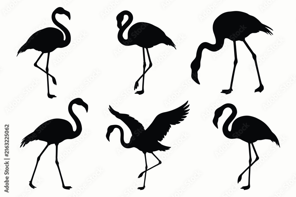 Naklejka premium Set of six black flamingo silhouettes showing various natural poses like standing on one leg, foraging, and wings spread isolated on a white background