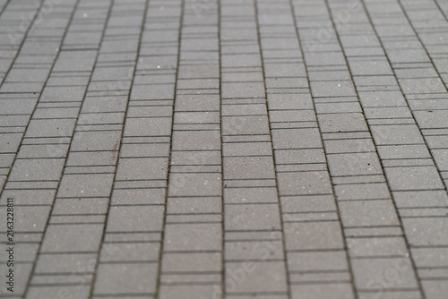 Obraz na płótnie Patterns of a gray pavement inviting leisurely strolls and quiet moments between