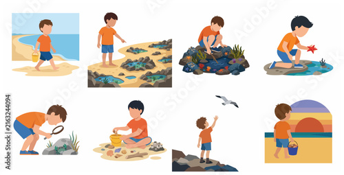 Boy Exploring Tide Pools and Beach Marine Life Illustration Set