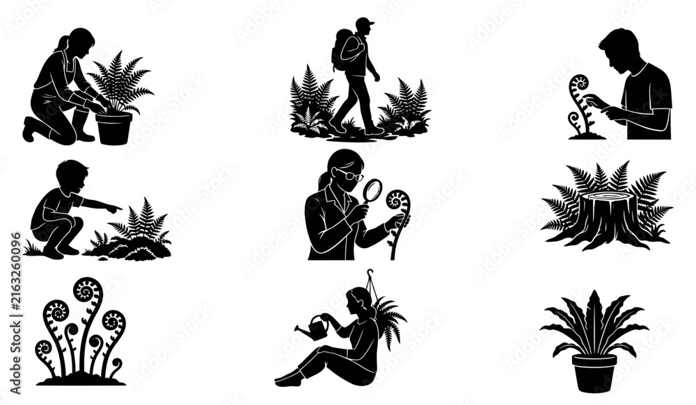 Fototapeta premium Black silhouette illustrations of people exploring ferns and conducting botanical research through outdoor observation, scientific study, and plant discovery activities