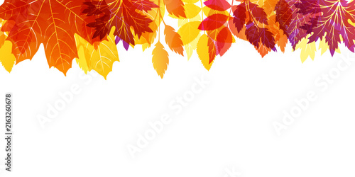 Autumn leaves frame. Top border from colorful foliage with copy space text on transparent background. Vector Illustration for thanksgiving design or harvest holiday decoration.
