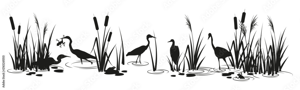 Naklejka premium Swamp landscape. Marsh silhouette border with birds and reeds. Pond outdoor panorama of a wetland ecosystem. Natural wildlife scene of herons hunting to frogs.