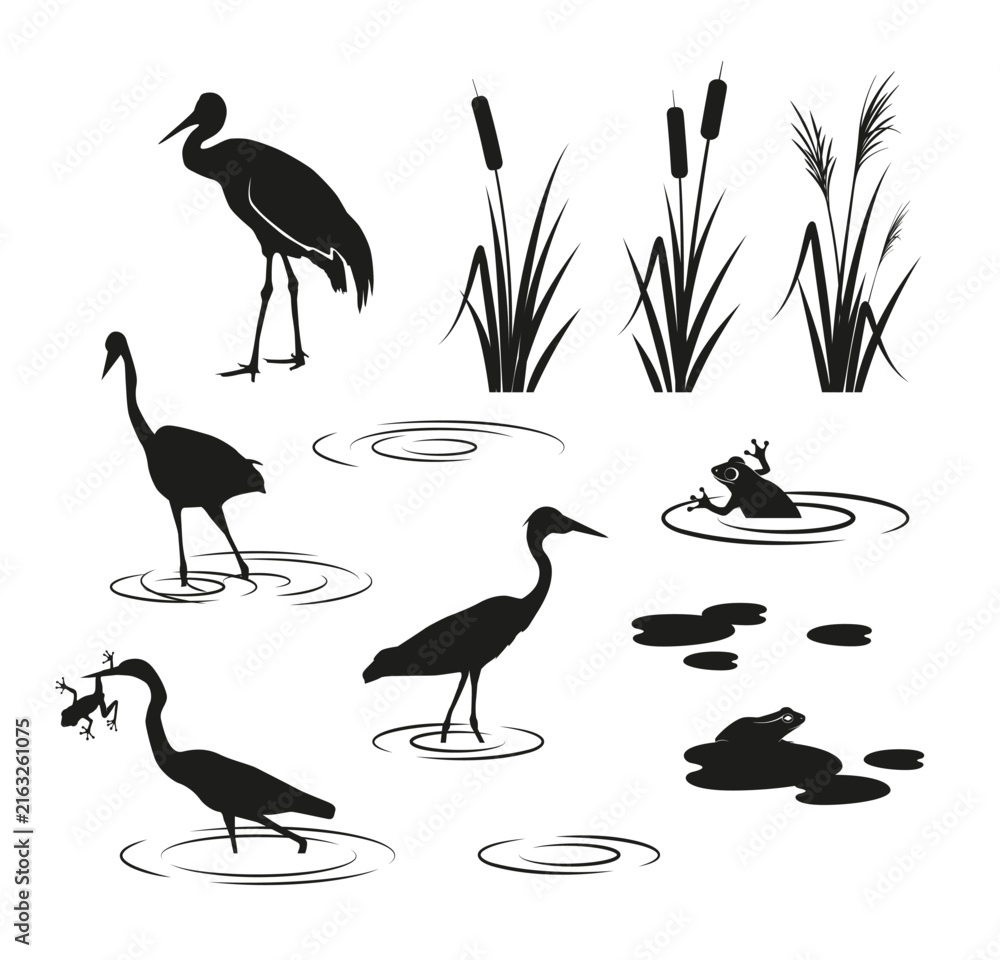 Naklejka premium Heron, reeds and frogs silhouettes. Swamp, marsh wetland ecosystem decoration elements.