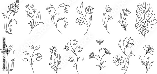 Set of wildflower and botanical line art illustrations. Hand drawn tulip, lily, chamomile, and cotton plant sketches. Minimalist floral doodles vector isolated on white.