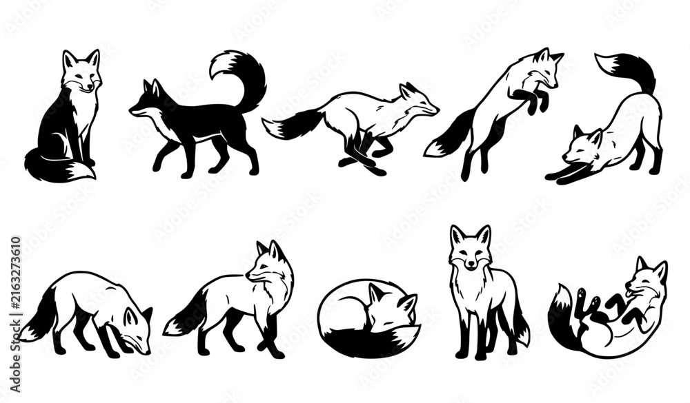 Fototapeta premium Monochrome Fox Wildlife Action and Pose Vector Illustration Set