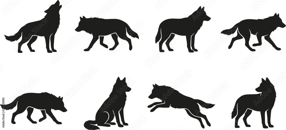 Obraz premium Collection of black wolf silhouettes in various poses against a white background