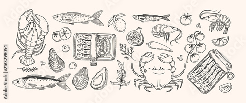 Seafood. Mediterranean food. Hand drawn lineart lobster, crab, sardine, canned fish, oyster, shrimp, spice, tomato. Doodle dolce vita style for cafe menu, poster. Vector set