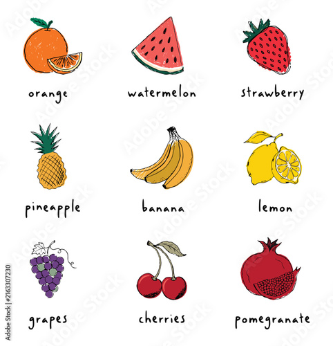 Hand drawn fruit collection with labels, colorful vector illustration of food icons.