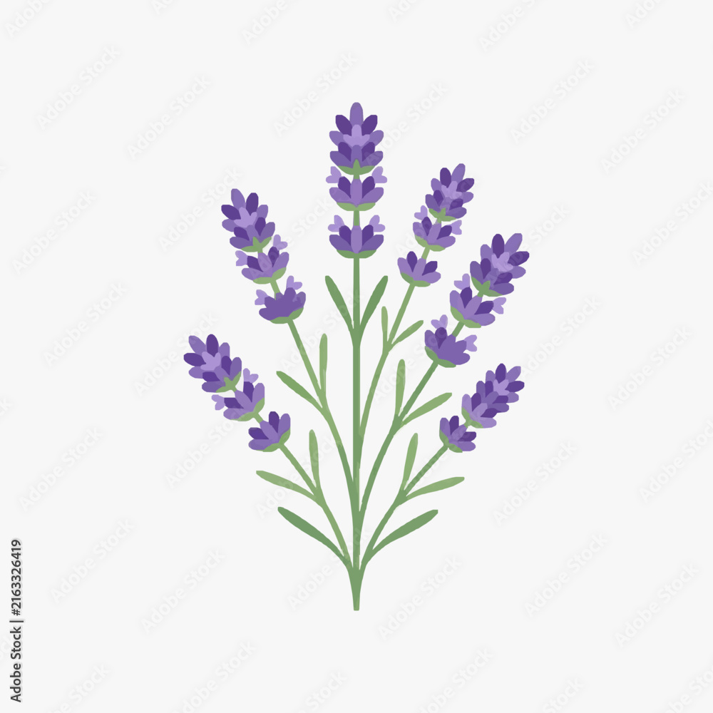 Fototapeta premium Sleek Purple Lavender Flower Bouquet with Green Stems and Leaves Minimalist Art with high quality professional line art symbols for modern creative design and digital branding projects