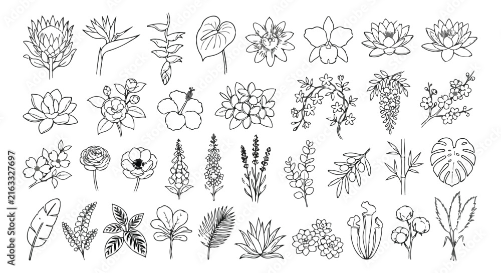 Fototapeta premium Minimalist tropical flower line art set, 32 botanical floral icons, hand drawn exotic plant vector illustrations for wedding branding