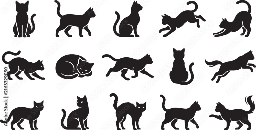 Obraz premium Black Cat Black cats in various poses and movements