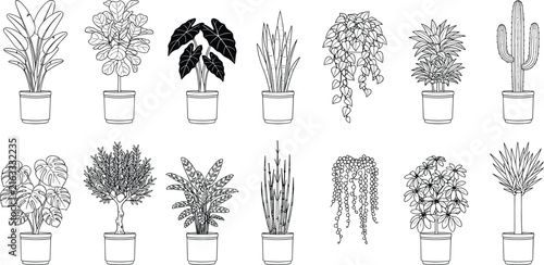 Indoor Houseplant Line Art Collection with Potted Tropical Foliage and Decorative Botanical Designs