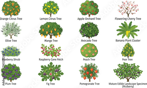 Fruit and Flowering Tree Collection Botanical Illustration Set for Garden and Landscape Design