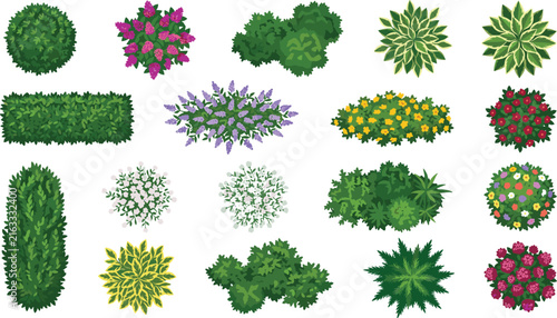 Ornamental Garden Shrubs and Flowering Bushes Collection for Landscape Design and Decoration