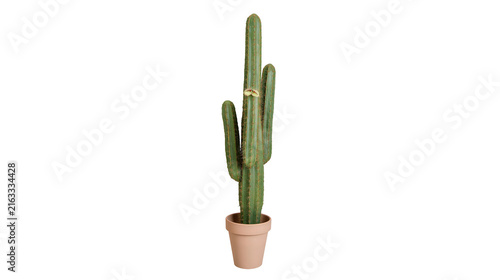 фотографія Tall green cactus with multiple arms in a terracotta pot, isolated on transparen