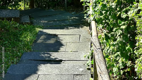 Outdoor Stone Steps Leading Down Through Green Foliage