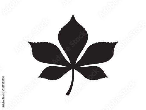 Black buckeye leaf icon vector silhouette. Minimalist nature symbol outline illustration for design and branding.