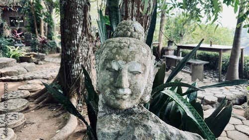 Konstfotografi Stone Buddha Head Statue in Lush Tropical Garden