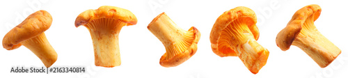 Fresh orange chanterelles isolated on white, set. Edible mushrooms