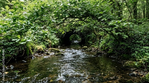 Tranquil River Flowing Through Lush Green Forest Under an Old Stone Bridge Arch with Mossy Rocks and Ferns Scenery