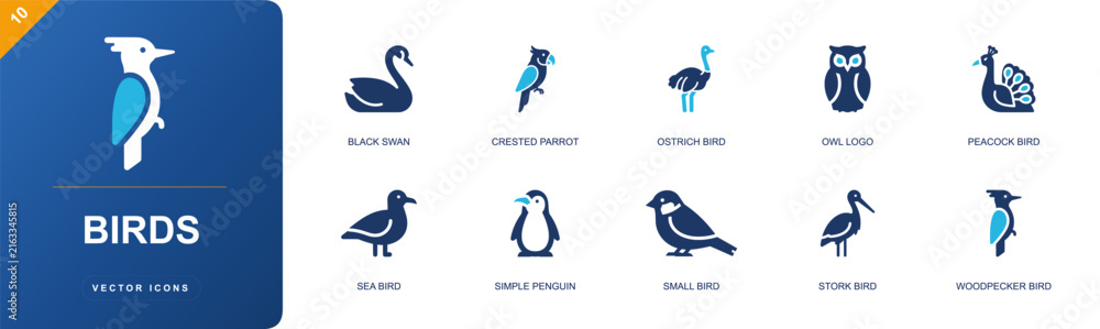 Obraz premium Bird species icon set. Containing black swan, crested parrot, ostrich bird, owl, peacock bird, sea bird, simple penguin, small wild bird, stork bird and more. Solid fill vector icons.