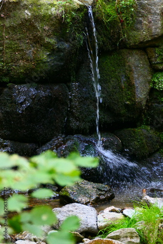 Wildes Wasser im Wechselland 