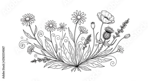 Beautiful wild flower bouquet line art illustration with daisy and poppy