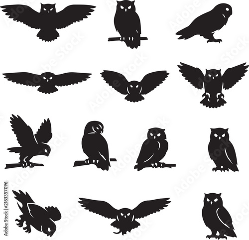 Black Owl Silhouette Set Flying and Perched Vector Poses