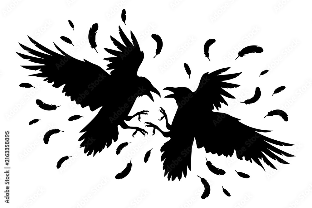 Naklejka premium Two ravens fighting in midair with feathers silhouette vector illustration