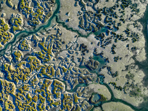 Aerial view of the intricate tidal channels and salt marshes of the Ria Formosa, showcasing winding waterways and vibrant green vegetation in Faro District, Portugal.