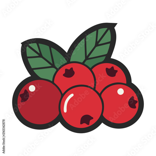 Cluster of fresh red cranberries with green leaves, colorful botanical food illustration isolated on a white background, vector